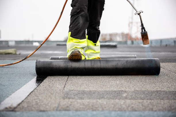 Best Storm Damage Roof Repair  in Quinebaug, CT