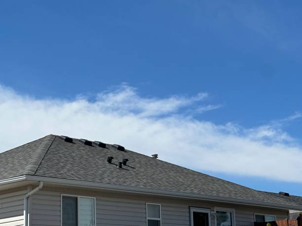 Best Asphalt Shingle Roofing  in Quinebaug, CT